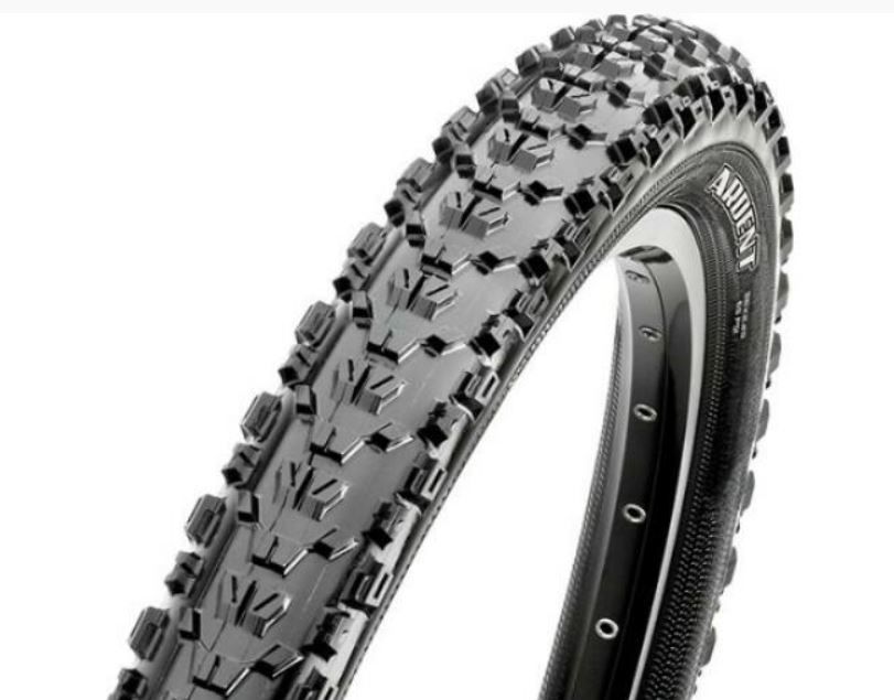 Maxxis ARDENT EXO 26X2.40 