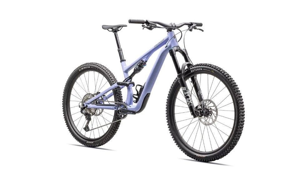 2025 Stumpjumper 15 Comp Alloy