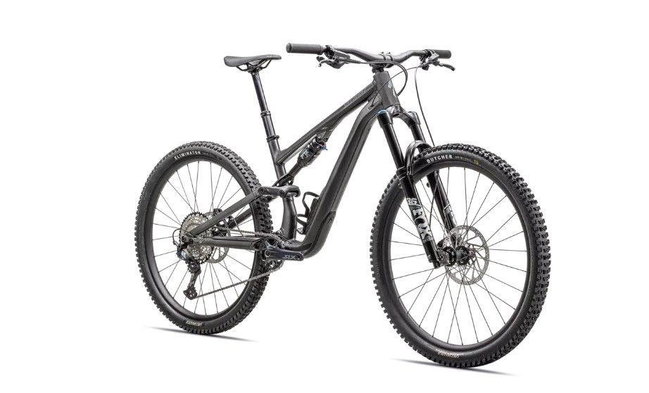 2025 Stumpjumper 15 Comp Alloy