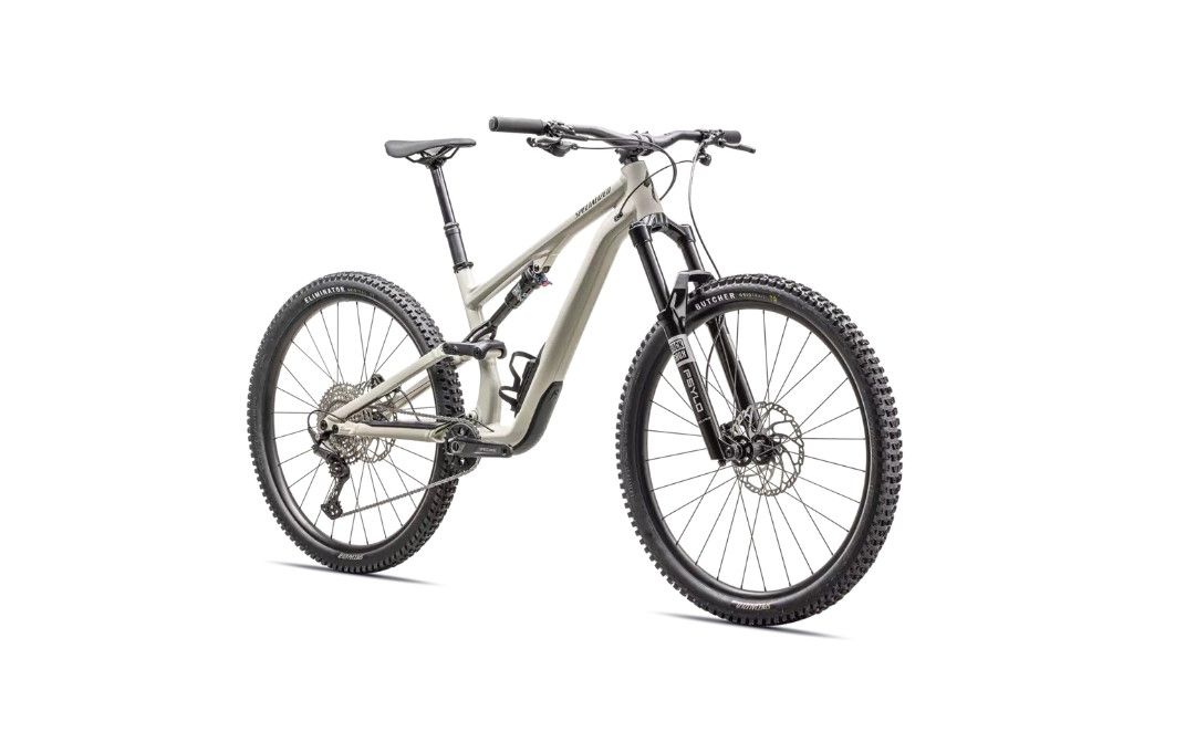 2025 Stumpjumper 15 Alloy