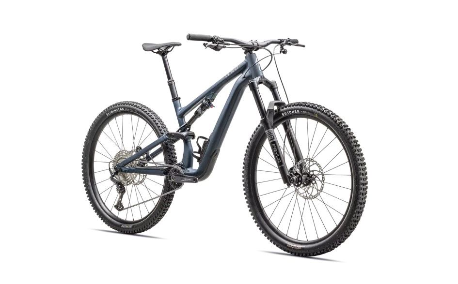 2025 Stumpjumper 15 Alloy