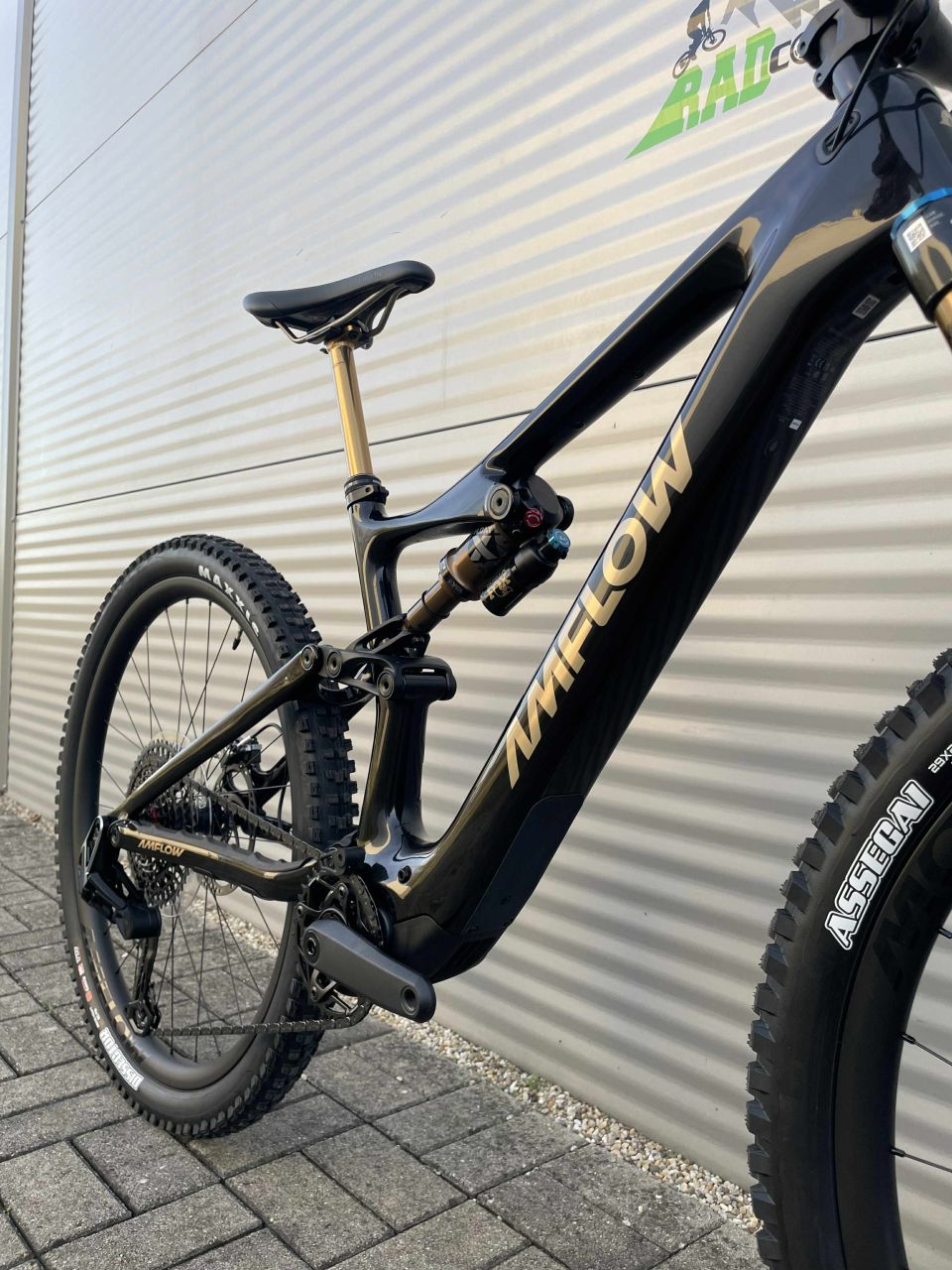 2026 Amflow PL Carbon Pro E-Bike