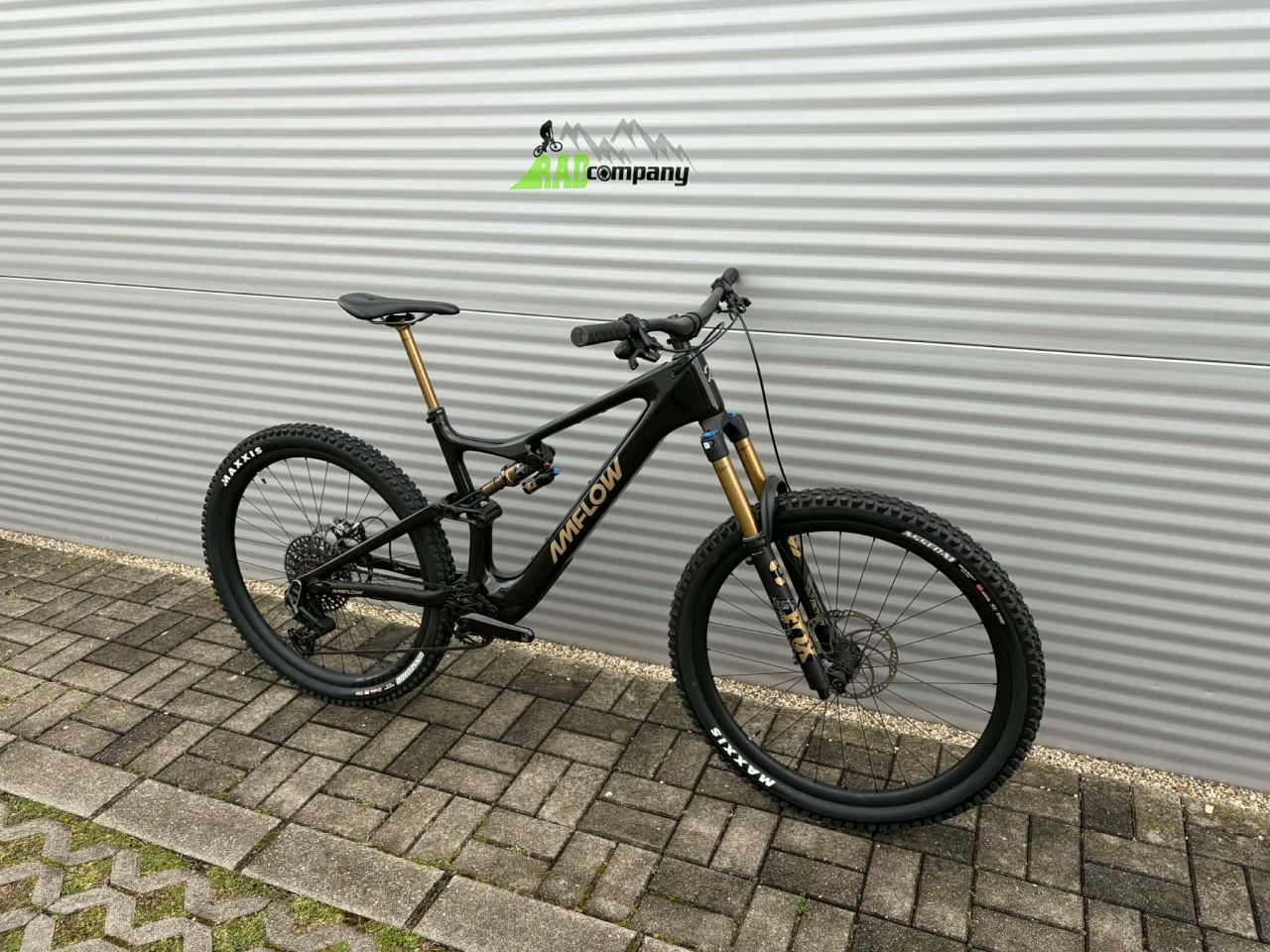 2025 AMFlow PL Carbon Pro E-Bike