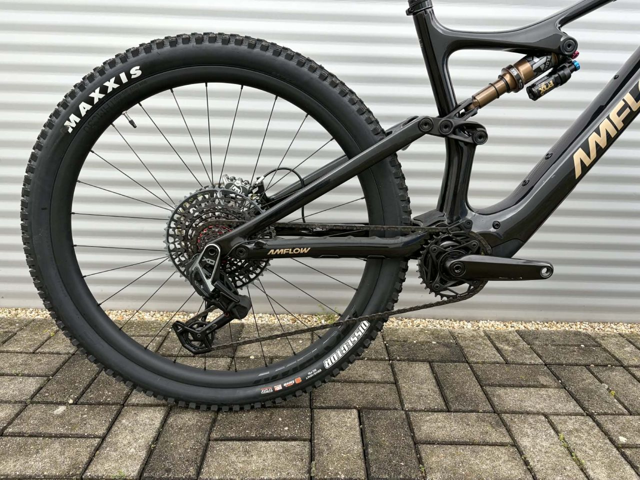 2025 AMFlow PL Carbon Pro E-Bike