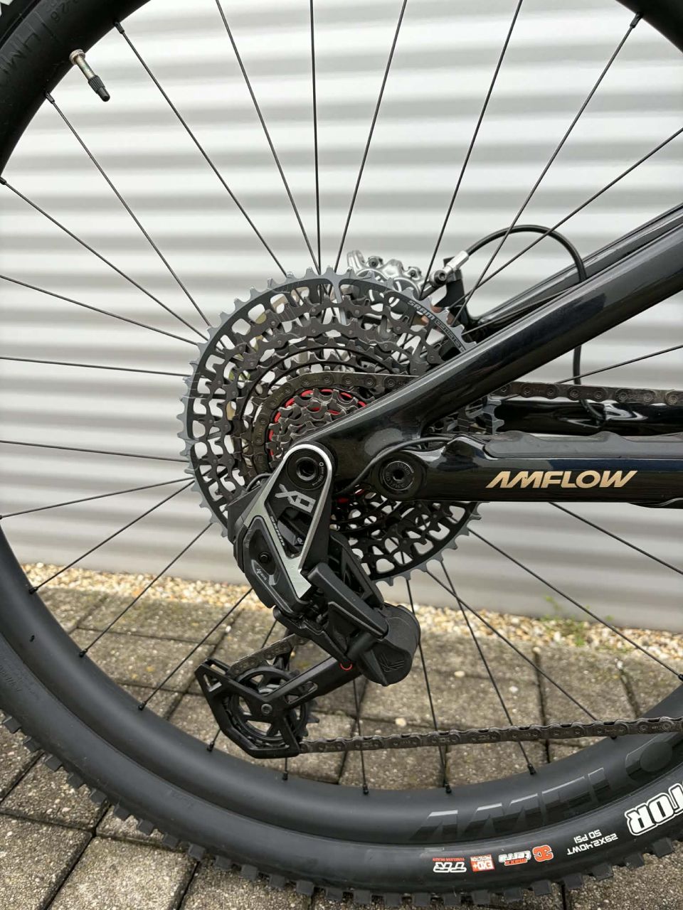 2025 AMFlow PL Carbon Pro E-Bike