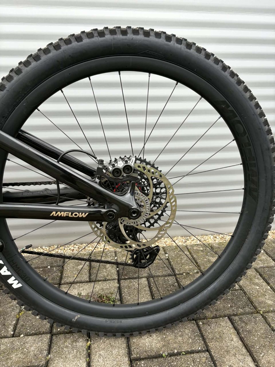 2025 AMFlow PL Carbon Pro E-Bike