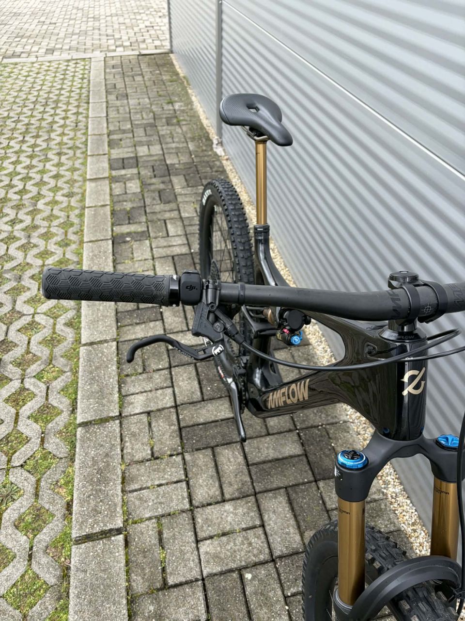 2025 AMFlow PL Carbon Pro E-Bike